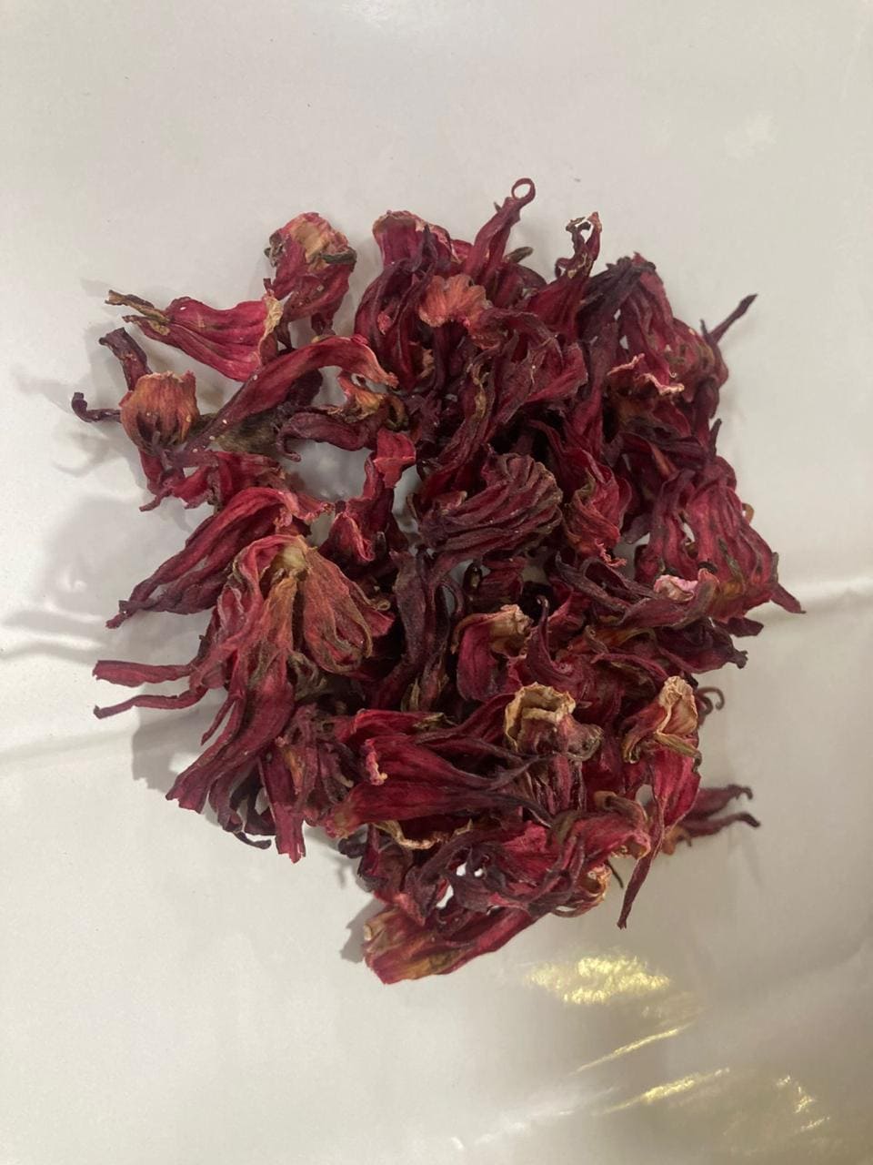 Hibiscus Flower - 5278cc01-673b-4341-9503-08d4fe9ad14e